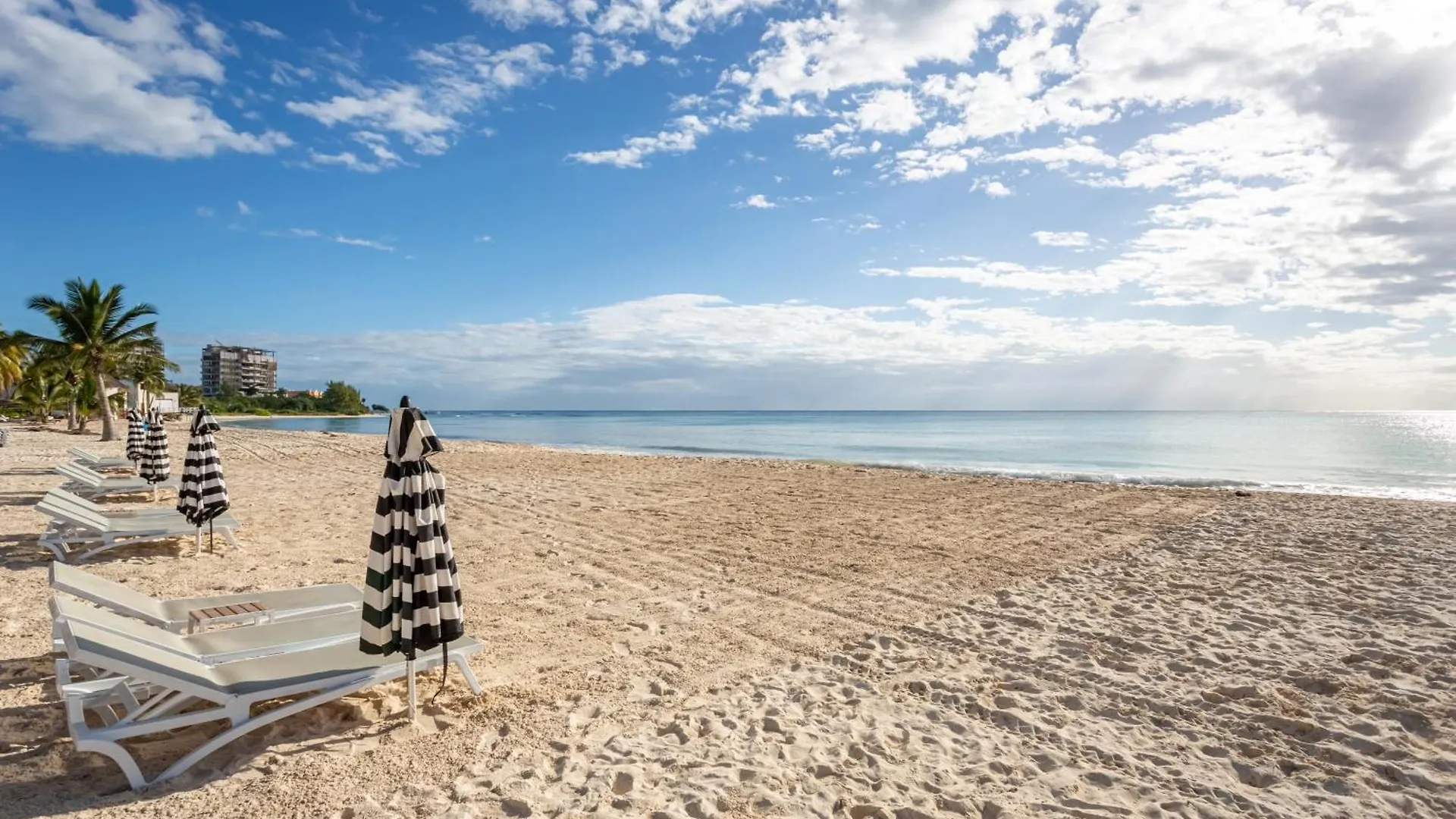 Апартаменты Casa Marbella Ocean View Penthouse Apts Плая-дель-Кармен